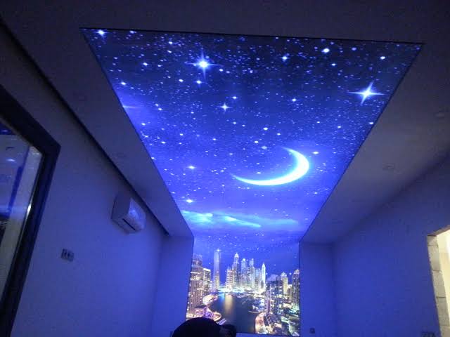 Gergi Tavan Çeşitleri 2024