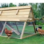 Tavuk Kümesi Örnekleri