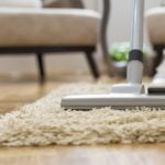 Halı böceği tüylü güve neden olur