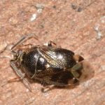 Tahta Kurusundan Kurtulmanın Yolları