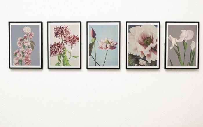 En Çarpıcı Duvar Çerçeve Modelleri 2 Doga Temali Duvar Cerceveleri